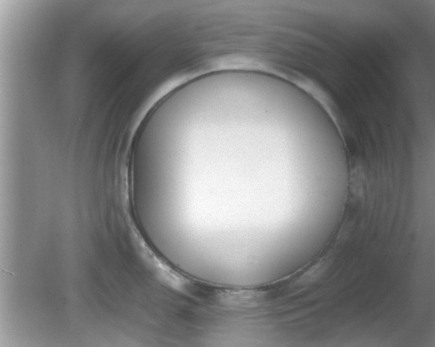 X0000081491150200701191852