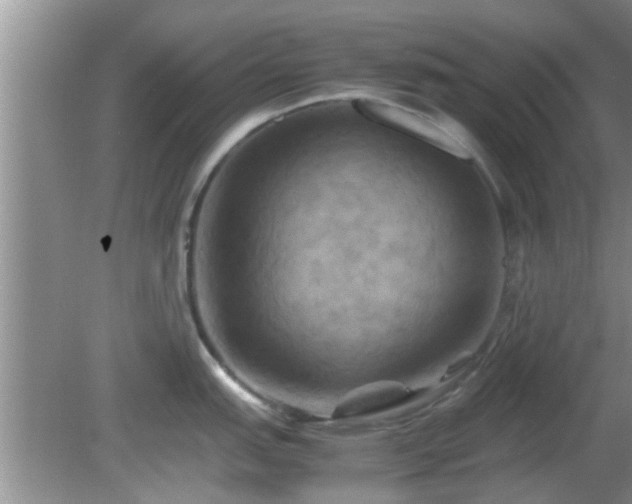 X0000081491151200701191852