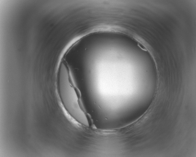 X0000081491152200701191852