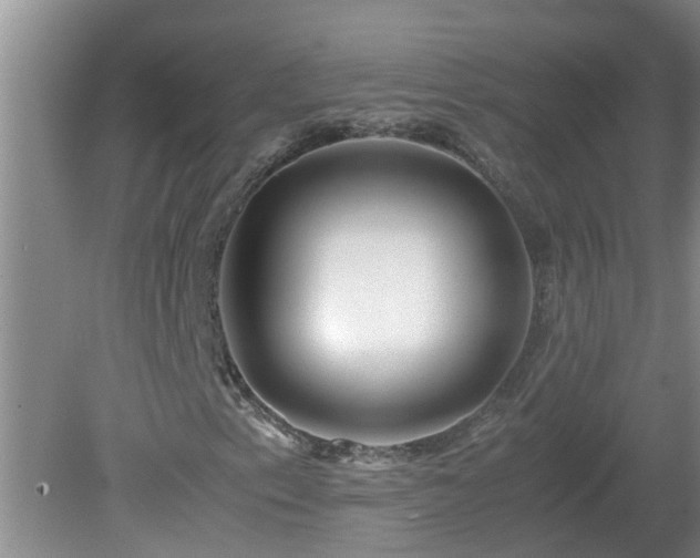 X0000081491153200701191851