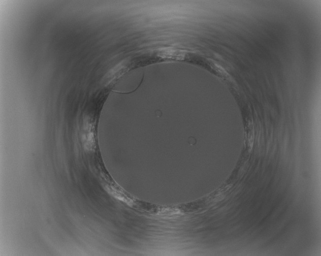 X0000081491154200701191851