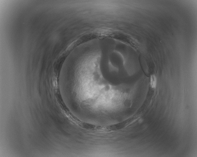 X0000081491155200701191851