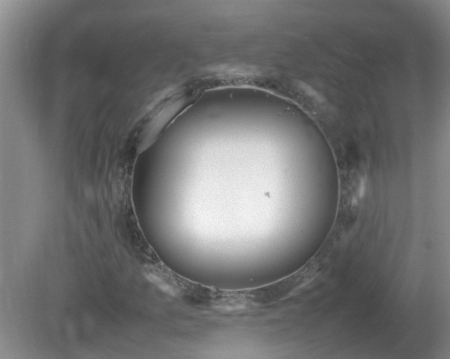 X0000081491157200701191851