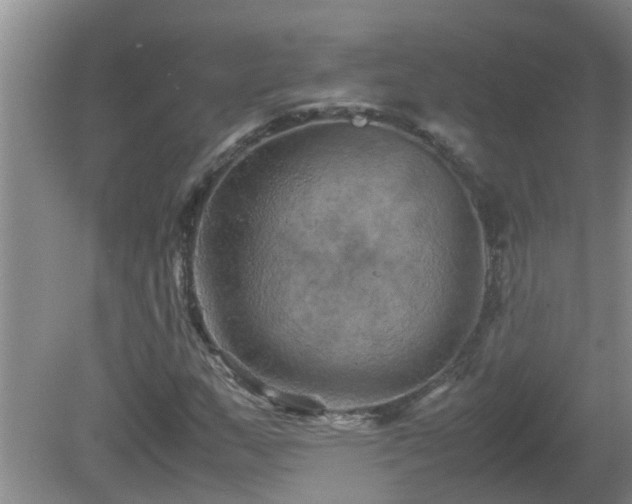 X0000081491159200701191851