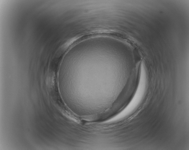 X0000081491161200701191851