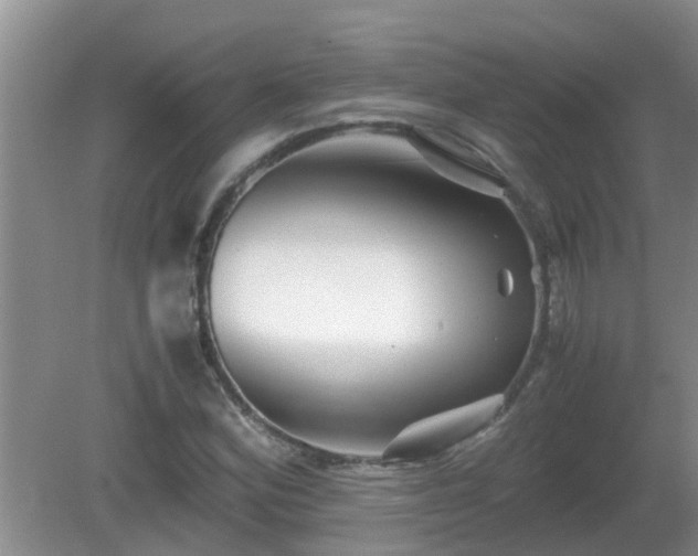 X0000081491164200701191851