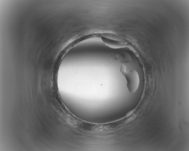 X0000081491165200701191851