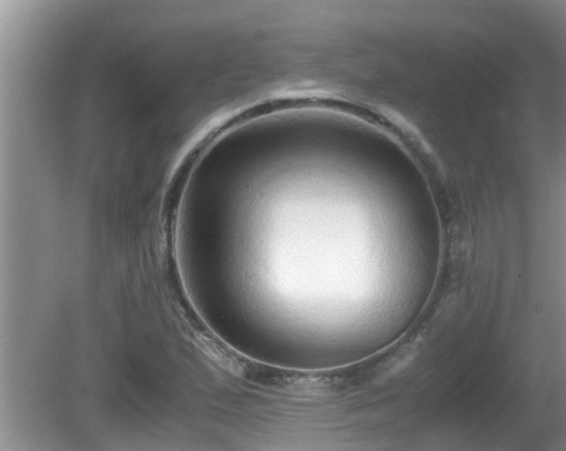 X0000081491167200701191851