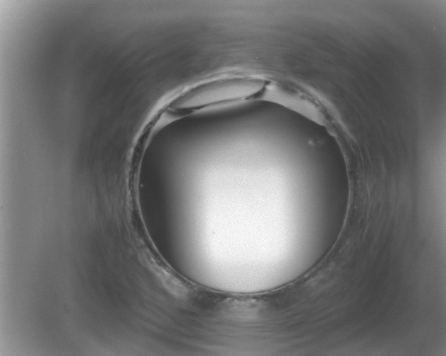 X0000081491168200701191851