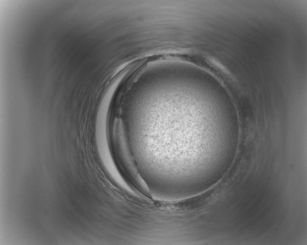 X0000081491169200701191851