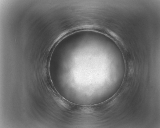 X0000081491170200701191851