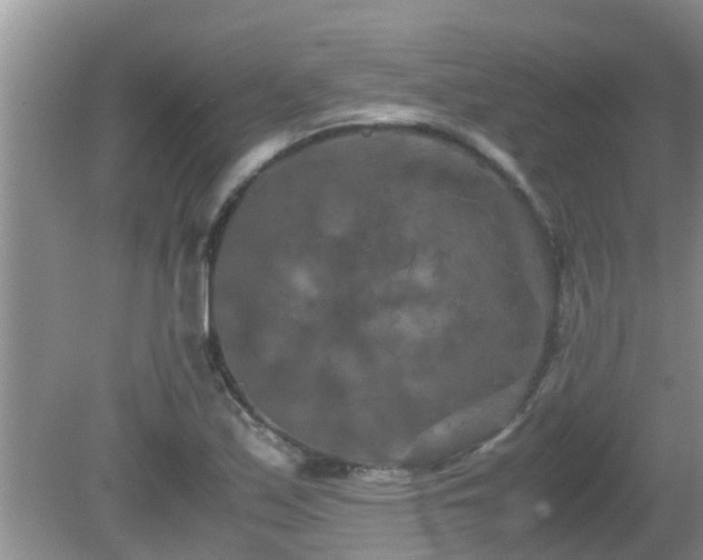 X0000081491171200701191851