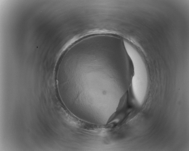 X0000081491173200701191850