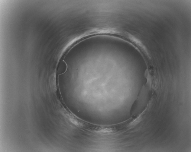 X0000081491174200701191850