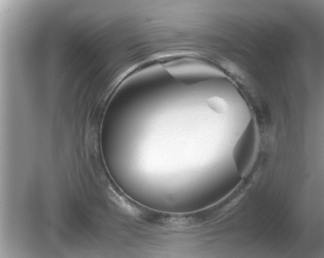 X0000081491177200701191850