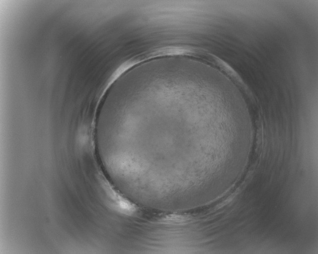 X0000081491178200701191850