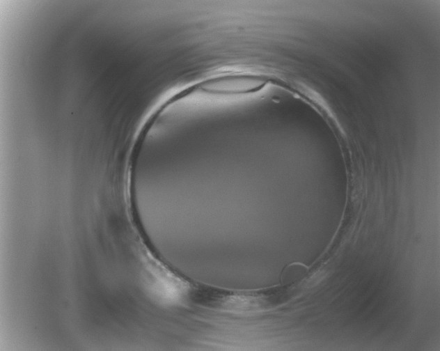 X0000081491179200701191850