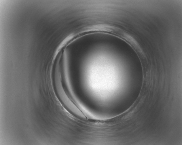 X0000081491180200701191850