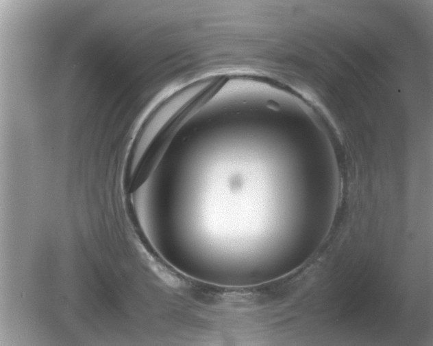 X0000081491181200701191850