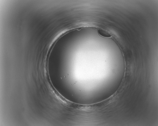 X0000081491182200701191850