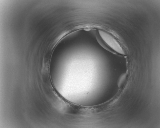 X0000081491185200701191850