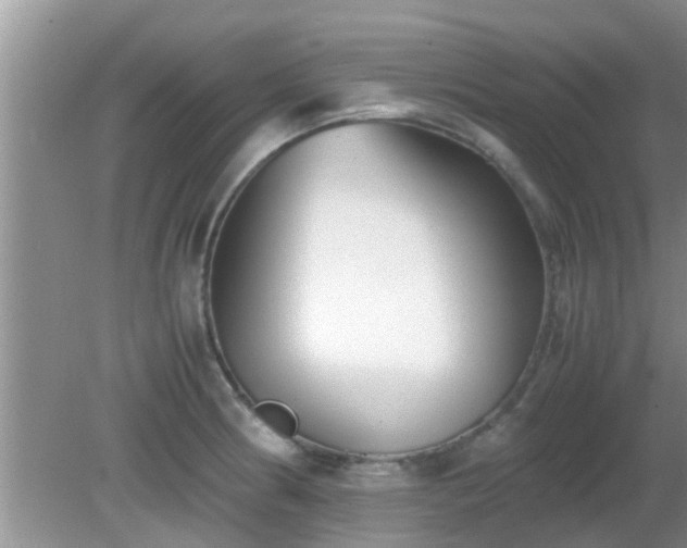 X0000081491186200701191850