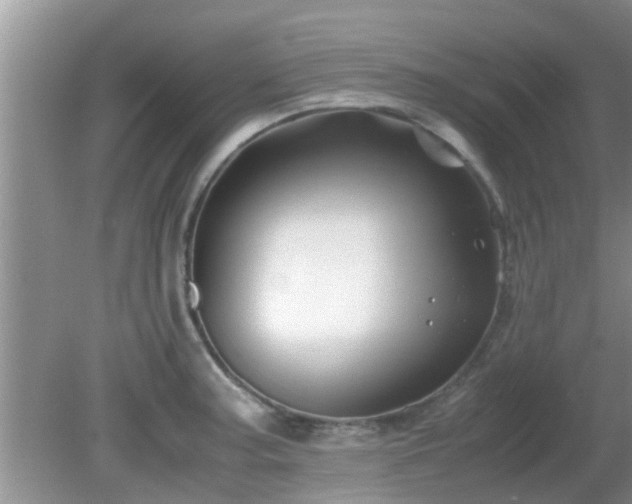 X0000081491187200701191850