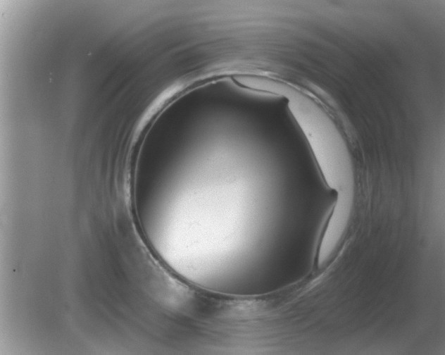 X0000081491188200701191850