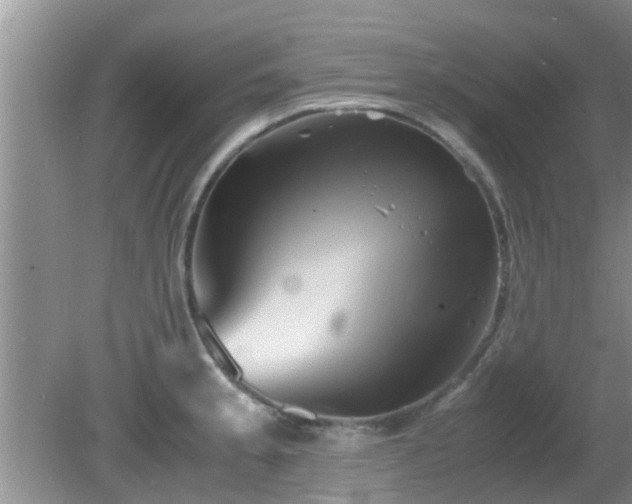 X0000081491189200701191850