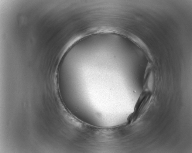 X0000081491190200701191850