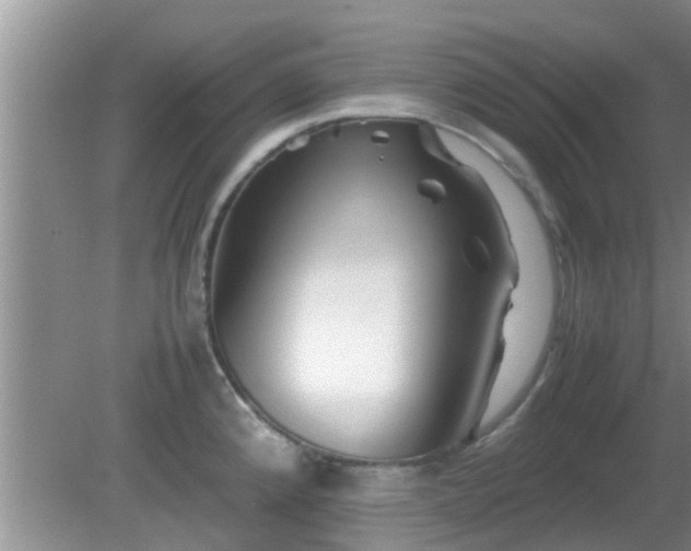 X0000081491192200701191850