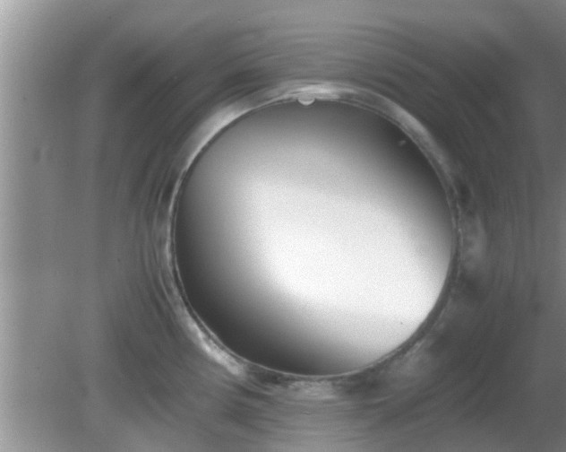 X0000081491194200701191850