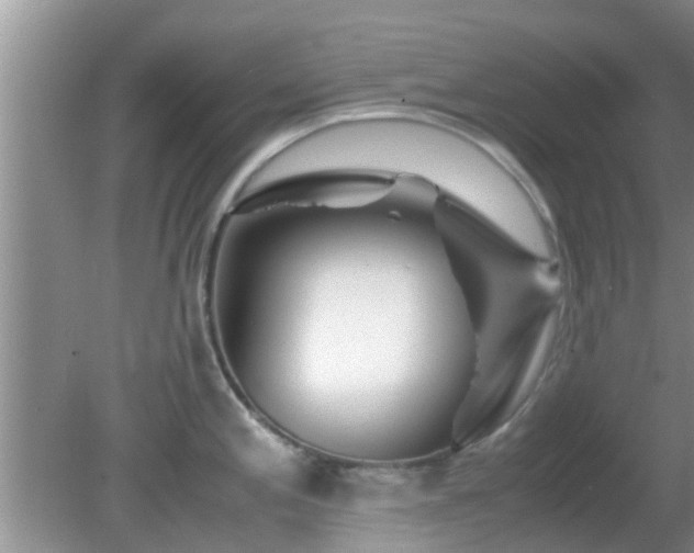 X0000081491197200701191850