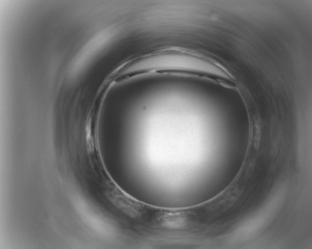 X0000081491198200701191850