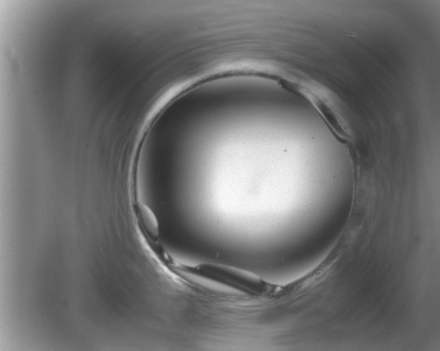 X0000081491199200701191850