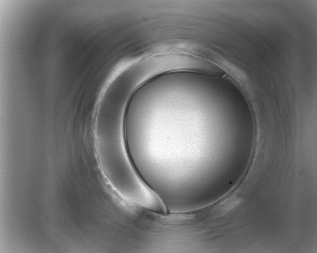 X0000081491200200701191850