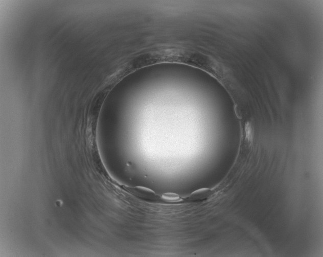 X0000081491203200701191849