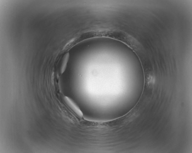 X0000081491204200701191849