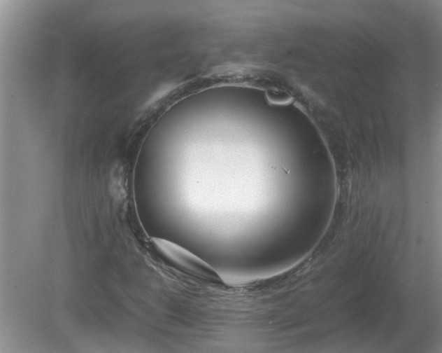 X0000081491206200701191849