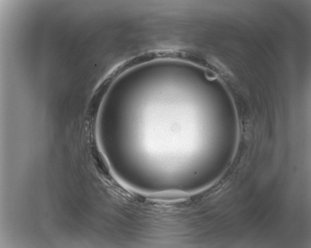 X0000081491208200701191849