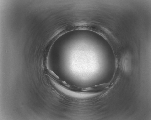 X0000081491209200701191849