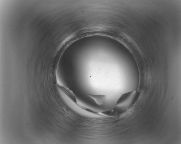 X0000081491210200701191849