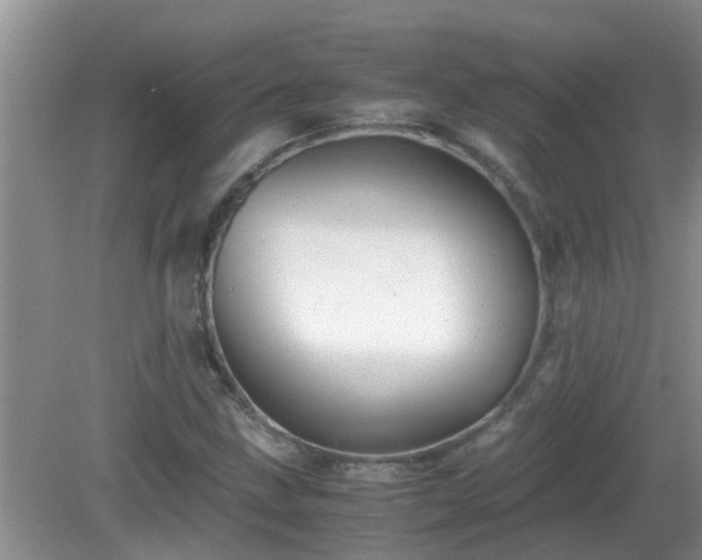 X0000081491211200701191849