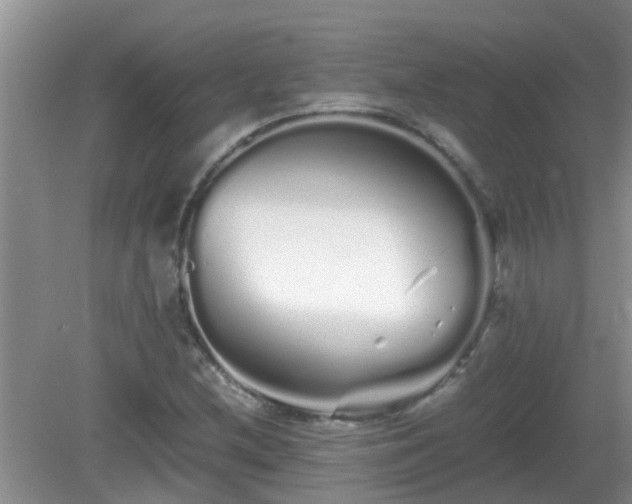 X0000081491212200701191849