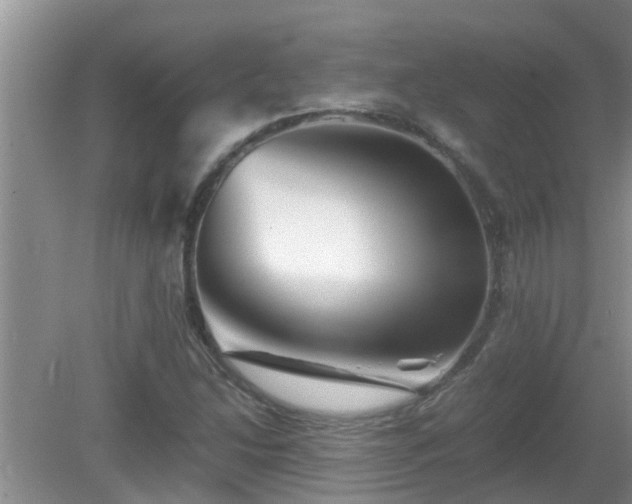 X0000081491214200701191849