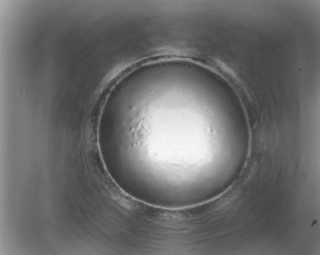 X0000081491215200701191849