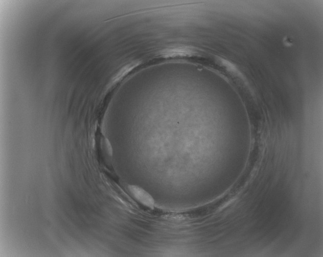 X0000081491217200701191849