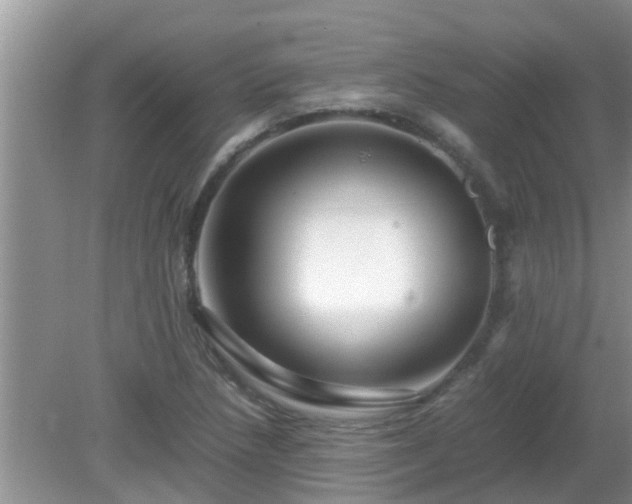 X0000081491218200701191850