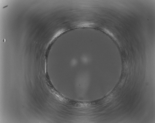 X0000081491219200701191850