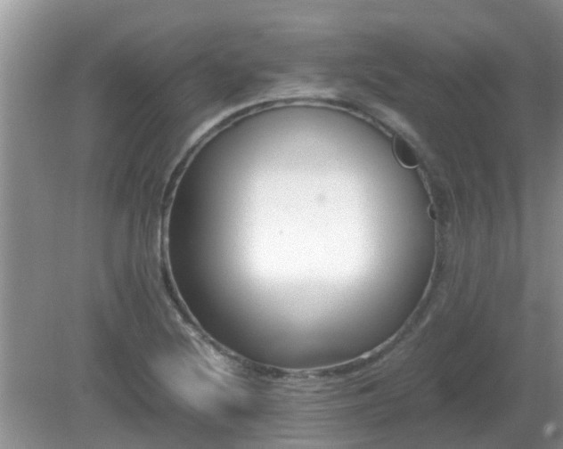 X0000081491220200701191850